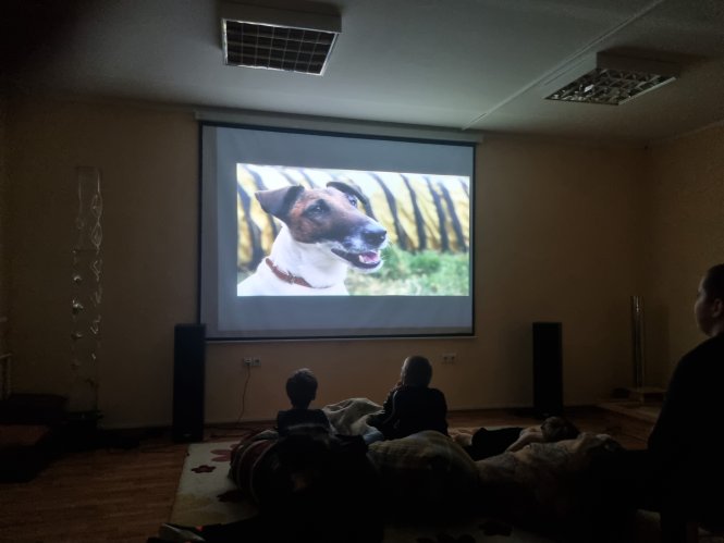 Vakaro kino seansas